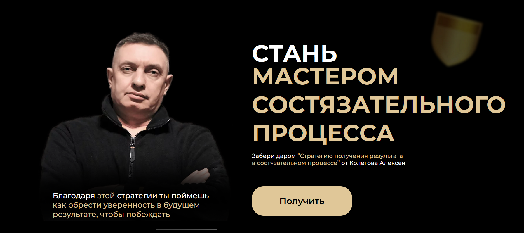 Адвокатское мастерство